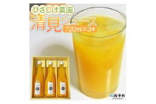ひさしげ農園 　清見ジュース３本入