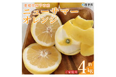 三好農園直送　愛媛県西予市産「ニューサマーオレンジ」家庭用 ～初夏を感じる爽やか柑橘～ 約４kg
