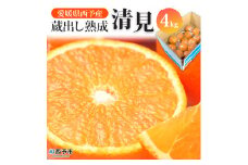＜愛媛県西予市産 蔵出し熟成清見 約4kg＞ 果物 フルーツ みかん オレンジ きよみ  柑橘 特産品 ご自宅用 家庭用 食べて応援 愛媛県 西予市【常温】『2026年5月上旬～6月中旬迄に順次出荷予定』