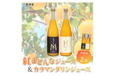マルワフルーツ園芸　紅まどんなとカラマンダリンジュース２本セット
