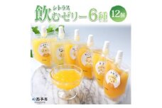 シトラス飲むゼリー12個セット
