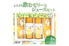 シトラス飲むゼリーとジュースセット