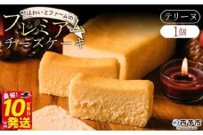 ＜ほわいとファームのプレミアムチーズケーキ（テリーヌ）500g×1個＞ スイーツ デザート お菓子 洋菓子 のし対応可 お祝い 内祝い ギフト 贈答 贈り物 プレゼント おやつ お取り寄せグルメ 愛媛県 西予市 【冷凍】『最短10営業日以内に順次発送予定』