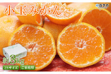 ＜愛媛県西予市産 小玉みかん ご家庭用 約3kg＞ 2Sサイズ 訳あり わけあり 果物 フルーツ 温州ミカン 蜜柑 甘い あまい おいしい 美味しい オレンジ 柑橘 特産品 愛媛県 西予市【常温】