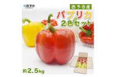 西予市産　パプリカ2色セット　2.5kg