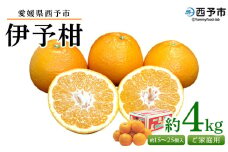 ＜愛媛県西予市産 伊予柑 ご家庭用 約4kg＞ 約15～25個入り 訳あり 果物 くだもの フルーツ みかん ミカン オレンジ 柑橘 イヨカン いよかん 食べて応援 特産品 宇都宮物産 愛媛県 西予市【常温】『2026年1月上旬～2月下旬迄に順次出荷予定』