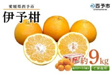 ＜愛媛県西予市産 伊予柑 ご家庭用 約9kg＞ 約30～55個入り 訳あり 果物 くだもの フルーツ みかん ミカン オレンジ 柑橘 イヨカン いよかん 食べて応援 特産品 宇都宮物産 愛媛県 西予市【常温】『2026年1月上旬～2月下旬迄に順次出荷予定』