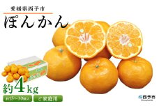 ＜愛媛県西予市産 ぽんかん ご家庭用 約4kg＞約15～30個入り 訳あり 果物 くだもの フルーツ みかん ミカン オレンジ ポンカン 柑橘 特産品 愛媛県 西予市【常温】『2026年1月上旬～2月下旬迄に順次出荷予定』