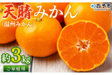 ＜愛媛県明浜産 天晴みかん（温州みかん）約3kg＞ 家庭用 訳あり ワケアリ 自宅用 果物 くだもの フルーツ ミカン 柑橘 食べて応援 特産品 産地直送 愛媛県 西予市【常温】