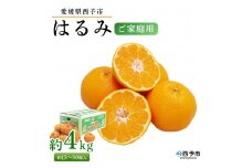 ＜愛媛県西予市産 はるみ ご家庭用 約4kg＞約15～30個入り 訳あり 果物 くだもの フルーツ みかん ミカン オレンジ 柑橘 期間限定 季節限定 食べて応援 特産品 愛媛県 西予市【常温】『2026年1月下旬～3月中旬迄に順次出荷予定』