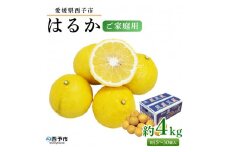 ＜愛媛県西予市産 はるか ご家庭用 約4kg＞約15～30個入 訳あり ご自宅用 果物 フルーツ ハルカ みかん ミカン オレンジ 柑橘類 旬 期間限定 食べて応援 特産品 愛媛県 西予市【常温】『2026年2月中旬～4月下旬迄に順次出荷予定』