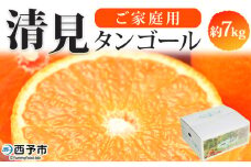 ＜愛媛県西予市産 清見タンゴール ご家庭用 約7kg＞ 訳あり ワケアリ 果物 フルーツ みかん ミカン 蜜柑 オレンジ きよみ キヨミ 柑橘類 食べて応援 旬 特産品 宇都宮物産 愛媛県 西予市【常温】『2026年3月上旬～5月上旬迄に順次出荷予定』