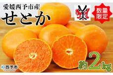 先行予約 数量限定＜愛媛西予市産 せとか 約2kg＞ 果物 くだもの フルーツ 柑橘類 ミカン みかん 甘い 特産品 糖度 家庭用 自宅用 産地直送 渡江から一歩を踏み出す会 食べて応援 愛媛県 西予市 【常温】