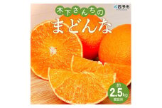 紅まどんなと同品種！＜木下さんちのまどんな 約2.5kg 家庭用＞ 柑橘類 みかん ミカン 果物 くだもの フルーツ 不揃い 自宅用 愛媛果試第28号 特産品 産地直送 マドンナ 木下農園 西宇和 愛媛県 西予市【常温】『2025年12月上旬～12月下旬迄に順次出荷予定』