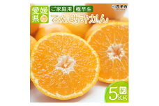 愛媛県西宇和産　でん助みかん（極早生）５kg　ご家庭用