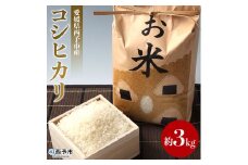 令和５年産　愛媛県西予市産　お米コシヒカリ３kg