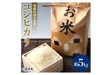 令和５年産　愛媛県西予市産　お米コシヒカリ５kg