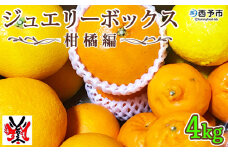 愛媛県明浜産　ジュエリーボックス（柑橘編）4kg【４月配送】
