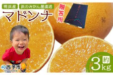 紅まどんなと同品種！＜明浜産 浜のマドンナ 贈答用 約3kg＞ まどんな 果物 フルーツ みかん オレンジ 柑橘類 愛媛果試第28号 ギフト 特産品 産地直送 浜のみかん屋 愛媛県 西予市【常温】