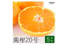 浜風みかん　南柑20号　５kg