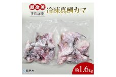 異次元の鮮度！宇和海産『超冷薫』冷凍真鯛カマ