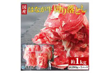 はなが牛　切り落とし　1㎏　（200gｘ5p）