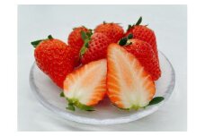 西予市宇和町産　谷口農園のいちご（紅い雫）4パック【４月配送】
