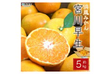 浜風みかん　宮川早生　５kg