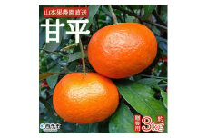 山本果樹園直送　甘平　約３kg（贈答用）