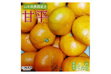 ＜甘平 約4kg 家庭用＞ 果物 くだもの オレンジ フルーツ かんぺい カンペイ 柑橘 みかん ミカン 蜜柑 季節限定 期間限定 食べて応援 特産品 産地直送 山本果樹園 西宇和 三瓶産 愛媛県 西予市【常温】