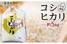 令和7年産　大竹農園　「コシヒカリ」５kg