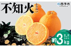 ＜おはこやがつくる おはこデコ（不知火）約3kg（L～3Lサイズ）＞ 果物 フルーツ 柑橘 しらぬい みかん 特産品 西宇和 愛媛県 西予市【常温】