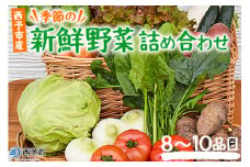 新鮮野菜の詰め合わせ（８～10品目）