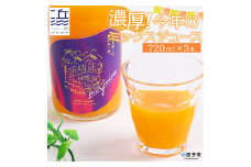 濃厚！今年のミックスジュース　３本セット【愛媛県西予市明浜産】
