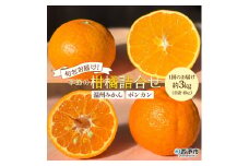 ＜旬をお届け！季節の柑橘 2回定期便（温州みかん約3kg・ポンカン約3kg）＞ミカン ぽんかん 蜜柑 果物 果実 フルーツ お楽しみ 2種類 食べ比べ 手軽 特産品 国産 愛媛県 西予市【常温】