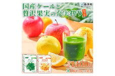 国産ケールと贅沢果実の充実搾りセット
