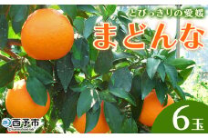 紅まどんなと同品種！＜とびっきりの愛媛 まどんな（6玉）＞ マドンナ 愛媛果試第28号 果物 柑橘 フルーツ 期間 旬 季節限定 特産品 産地直送 片山果樹園 西宇和 愛媛県 西予市【常温】