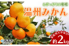 ＜とびっきりの愛媛 温州みかん 約2kg（家庭用大小混合）＞ 訳あり 家庭用 果物 柑橘 フルーツ 蜜柑 うんしゅうみかん ウンシュウミカン 特産品 片山果樹園 食べて応援 西宇和 愛媛県 西予市【常温】