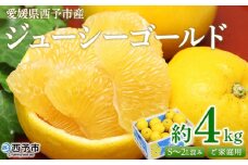 ＜ジューシーゴールド（河内晩柑） ご家庭用 約4kg＞ 訳あり 果物 フルーツ かわちばんかん じゅーしーごーるど みかん 蜜柑 オレンジ 柑橘 食べて応援 特産品 宇都宮物産 愛媛県 西予市 【常温】『2026年4月中旬～6月中旬迄に順次出荷予定』