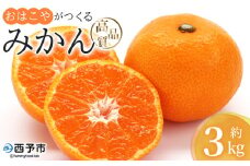 ＜おはこやがつくる 高品質みかん 約3kg（S～Lサイズ）＞ 果物 フルーツ 柑橘 ミカン 蜜柑 特産品 西宇和 愛媛県 西予市 【常温】