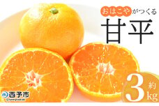 ＜おはこやがつくる 甘平 約3kg（L～3Lサイズ）＞ 果物 フルーツ 柑橘 カンペイ みかん ミカン 蜜柑 特産品 西宇和 愛媛県 西予市 【常温】