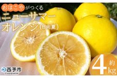 ＜おはこやがつくる ニューサマーオレンジ 約4kg（L～3Lサイズ）＞ 果物 フルーツ 柑橘 ミカン 蜜柑 日向夏 小夏 特産品 西宇和 愛媛県 西予市 【常温】