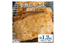 小魚じゃこてん
