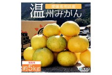 安樹屋　愛媛県明浜産　温州みかん（早生） ５kg（家庭用）