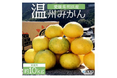 安樹屋　愛媛県明浜産　温州みかん（早生） 10kg（家庭用）