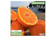 安樹屋　愛媛県明浜産　ポンカン　10kg（家庭用）