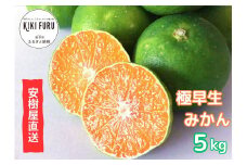 安樹屋　愛媛県明浜産　極早生みかん　５kg（家庭用）