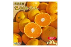 ＜愛媛県西予市産 温州みかん 贈答用 約10kg＞ ギフト 果物 くだもの ミカン 蜜柑 柑橘 フルーツ 特産品 段畑みかん 愛媛県 西予市【常温】