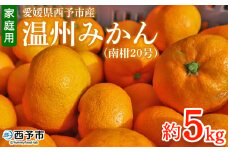 先行予約 ＜愛媛県西予市産 温州みかん（南柑20号）家庭用 約5kg（サイズ不揃い・小傷あり）＞ 訳あり  果物 くだもの ミカン 柑橘 フルーツ 食べて応援 特産品 段畑みかん 愛媛県 西予市【常温】『2025年11月中旬～12月中旬迄に順次出荷予定』