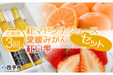 【定期便全3回】紅マドンナジュース・愛媛みかん・谷口農園のいちご（紅い雫）